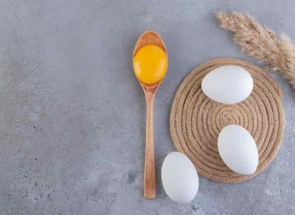 تصویر 2 از خرید و قیمت تخم مرغ زرده زعفرانی + فروش عمده